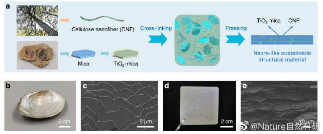 全国两会）全国人大代表王立平：把创新实践“写”进履职答卷(图1)
