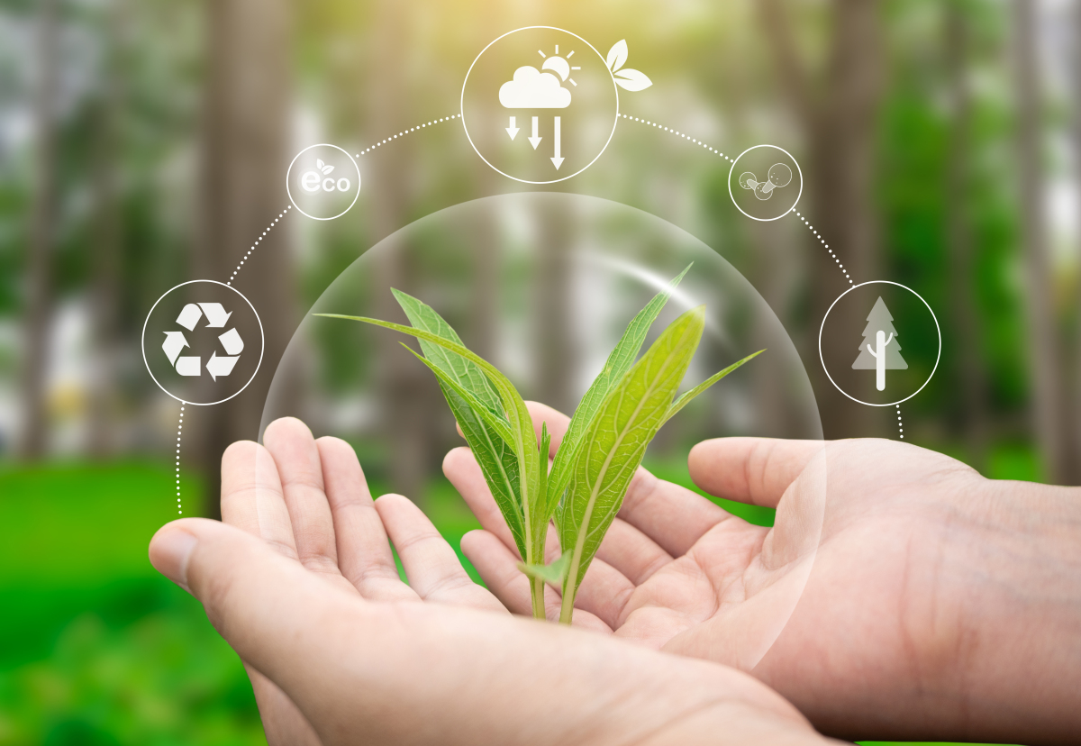 农药行业发展现状及未来趋势分析2026(图1)