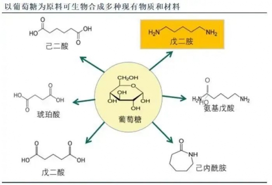 众鑫股份(603091)：完成工商变更登记(图1)
