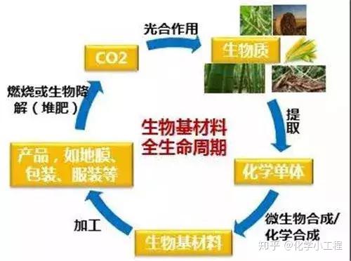 加快高质量发展实现高效能治理创造高品质生活(图1)